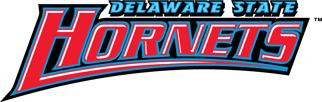 Delaware State Hornets 2004-Pres Wordmark Logo diy DTF decal sticker